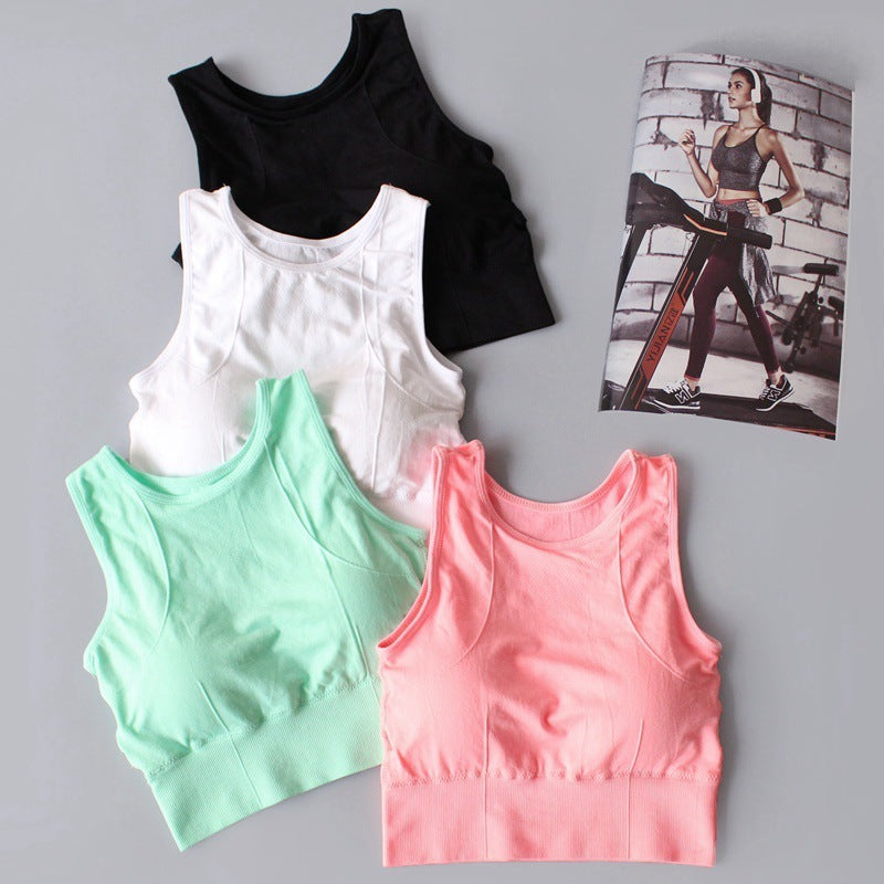 The web celebrity sports bra